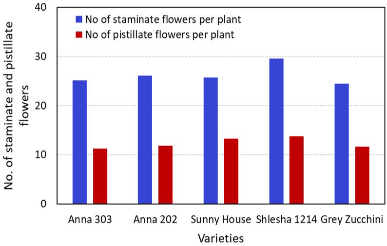 Figure 6: