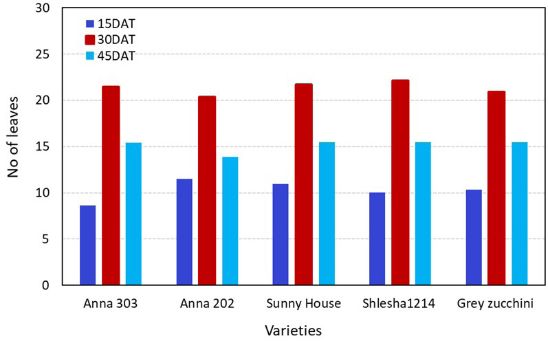 Figure 4: