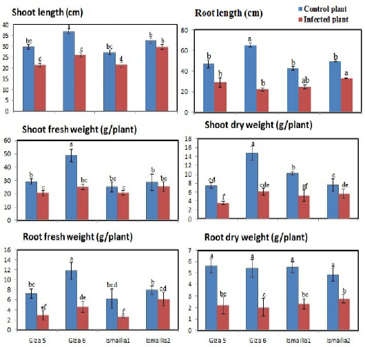 Figure 2: