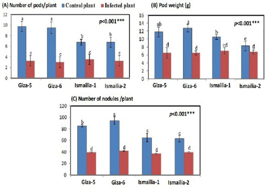 Figure 3: