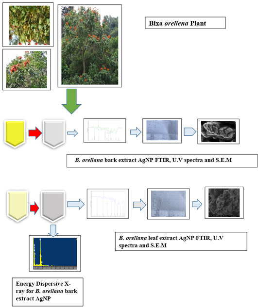 Figure 1: