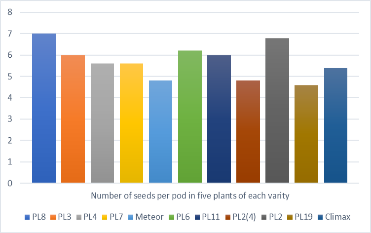 Figure 4: