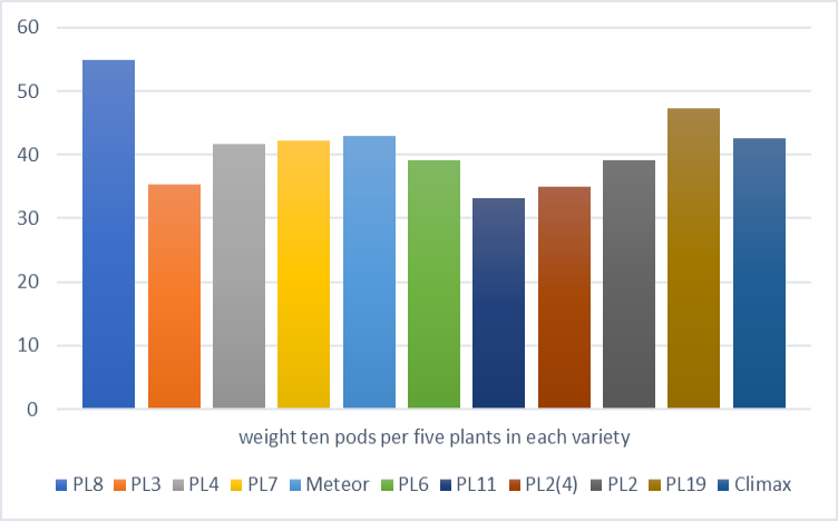 Figure 5: