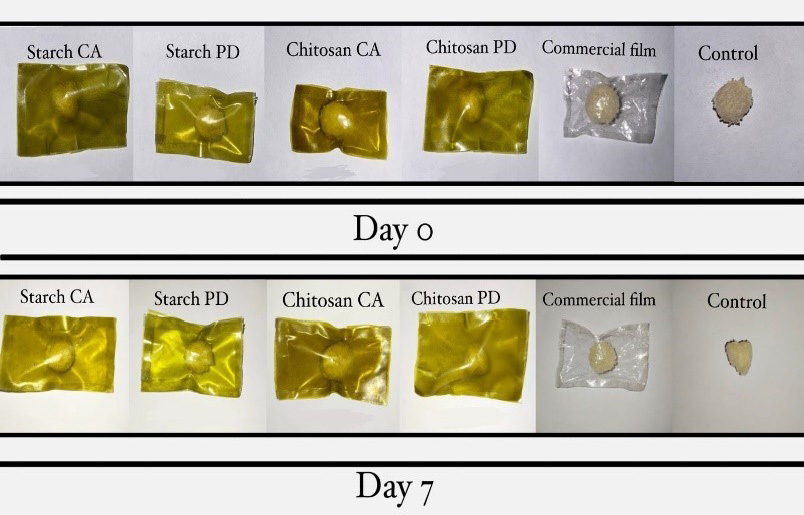 Figure 7: