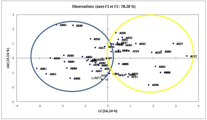 Fig. 4.