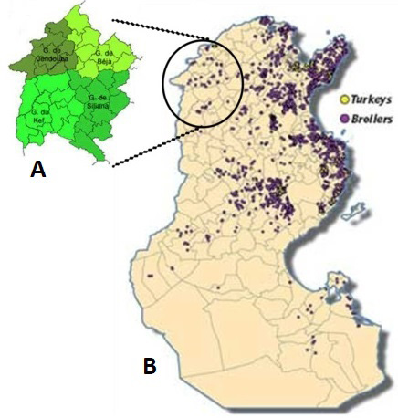 Fig. 1.