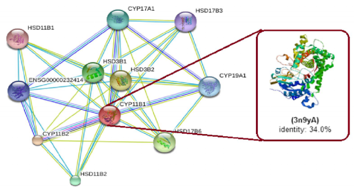 Figure 4: