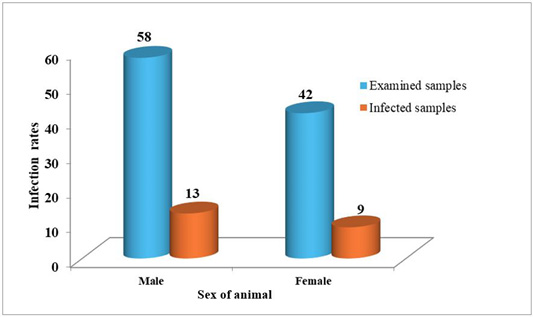 Figure 2: