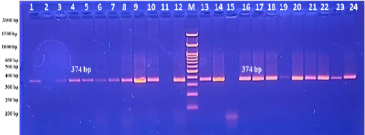 Figure 3: