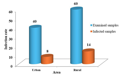 Figure 4: