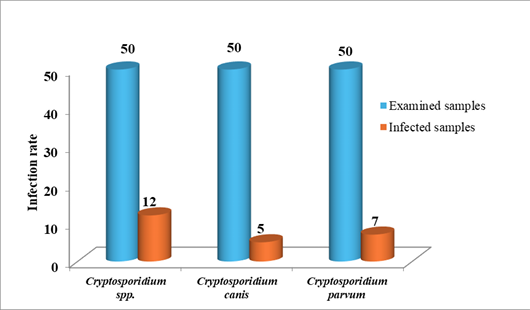 Figure 7: