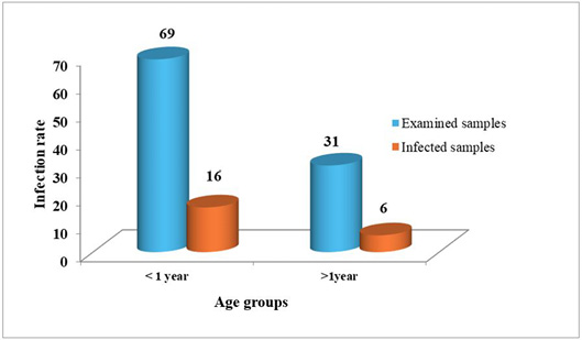 Figure 3: