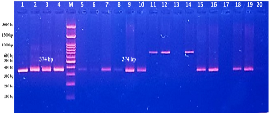 Figure 2: