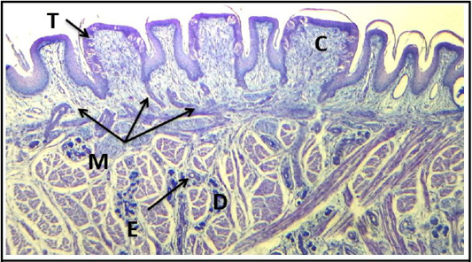Figure 18: