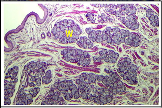 Figure 16: