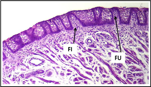 Figure 10: