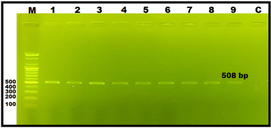 Figure 2: