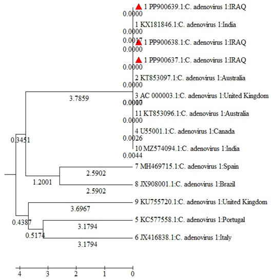 Figure 3: