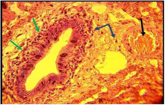 Figure 7: