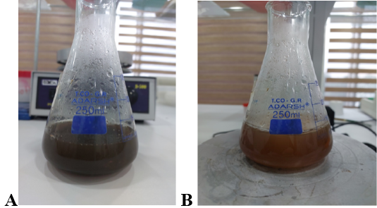 Figure 3: