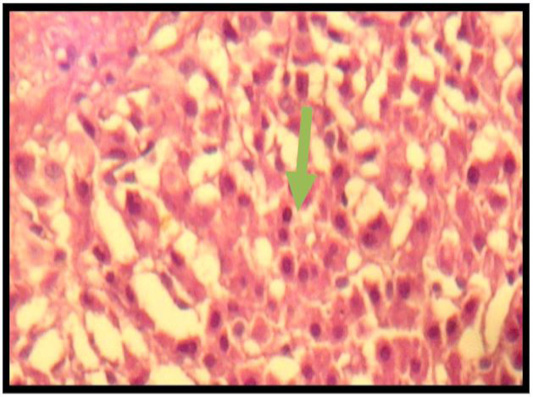 Figure 6: