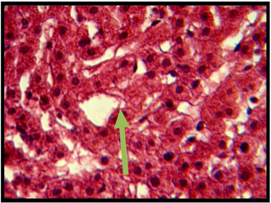 Figure 9: