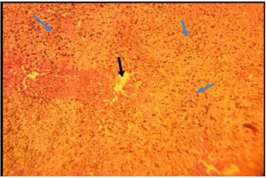 Figure 5:
