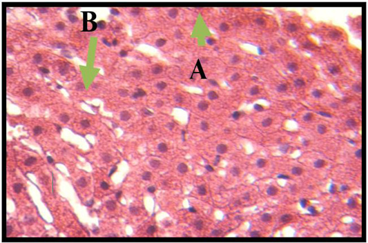 Figure 10:
