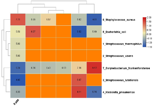 Figure 2: