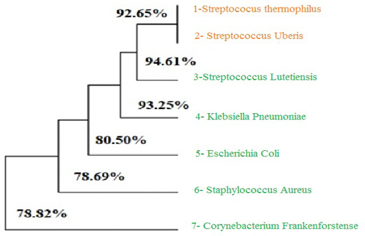 Figure 3: