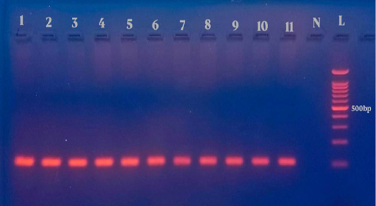 Figure 4: