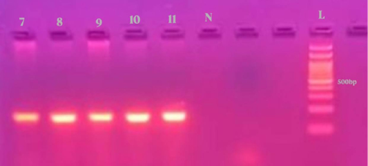 Figure 7: