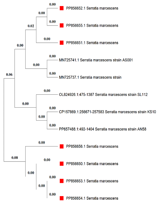 Figure 11: