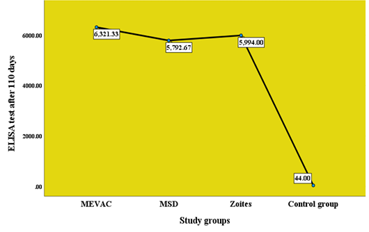 Figure 6: