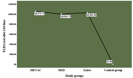 Figure 11: