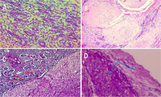 Figure 4: