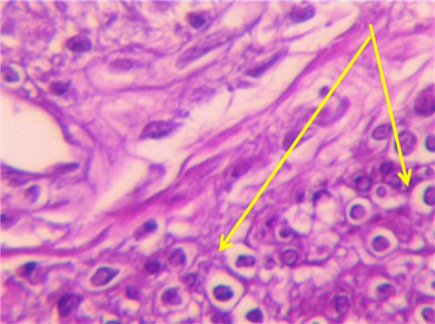 Figure 5: