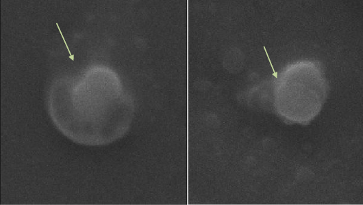 Figure 3: