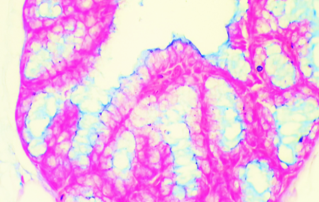 Figure 10: