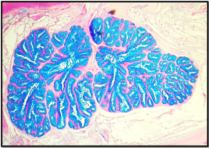 Figure 11: