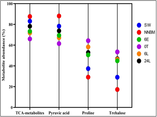 Figure 3: