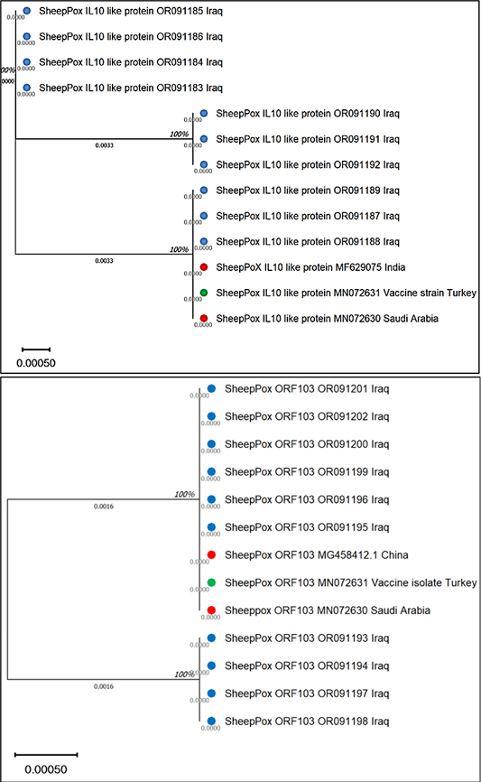 Figure 4: