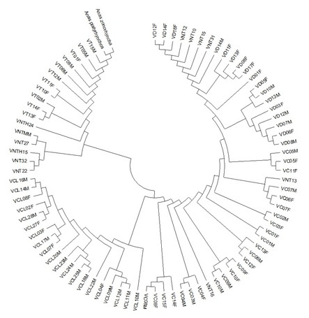 Figure 4: