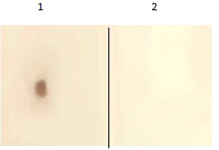 Fig. 5.