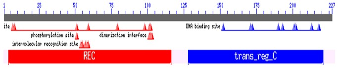 Fig. 9.