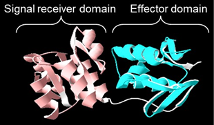 Fig. 8.