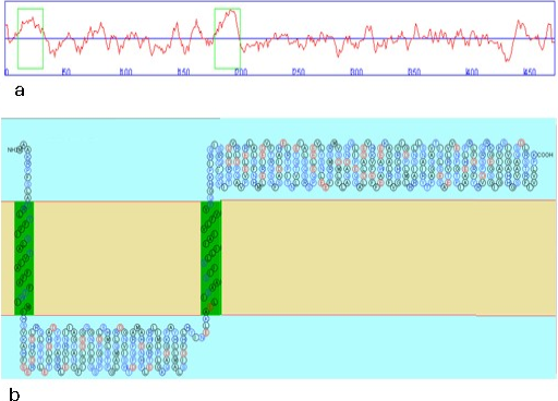 Fig. 7.