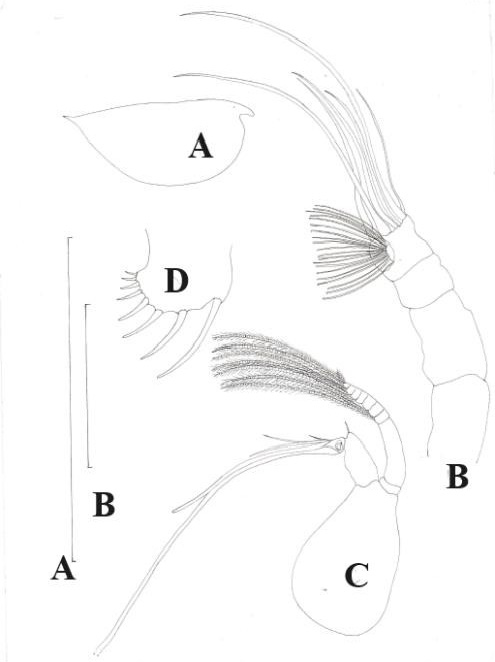 Fig. 2.