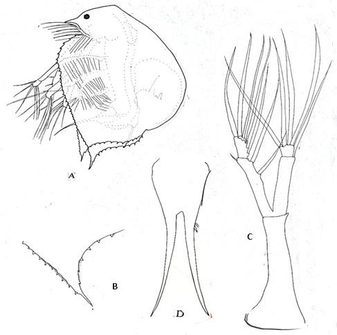 Fig. 10.