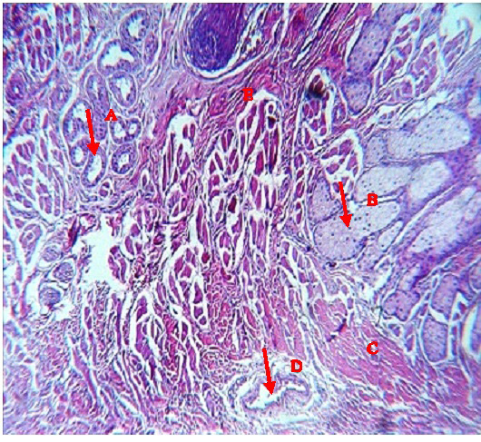 Figure 6: